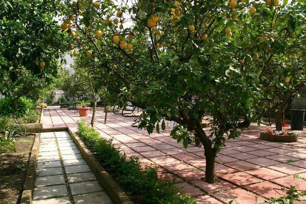 Villa Alviani Anna Сорренто Экстерьер фото